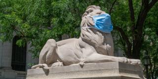 Photograph of lion statue wearing a blue face mask