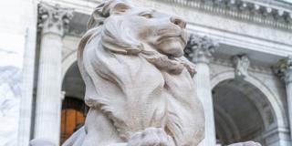 Photo of lion statue outside of the Stephen A. Schwarzman Building