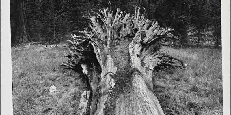 Echoes of Silence: Philip Trager, Early Photographs, 1967-83 | The New ...